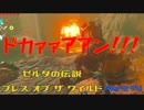 実況とはよべないゲームプレイ【のんびり冒険 ゼルダの伝説BotW】74