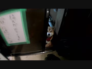 猛犬が出てくる