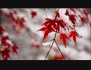 冬が来るまえに