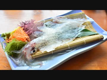 第29回 ❝佐賀県❞~呼子の烏賊は風に舞う~