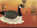 シートン動物記　第37話　ウィンディゴールの雁