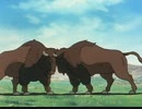 シートン動物記　第44話　荒野に生きる猛牛バイソン