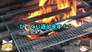 秋刀魚にリベンジ！！～今度こそ上手に焼くよ～　②