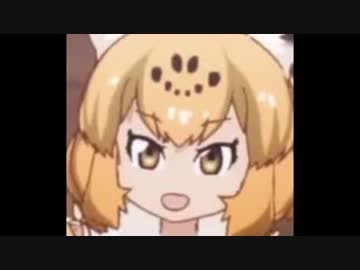 ジャガーさがし