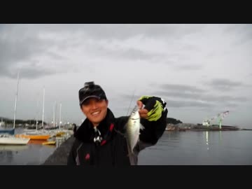 もっち釣動組合♪♯４ 【館山でルアー五目釣り】