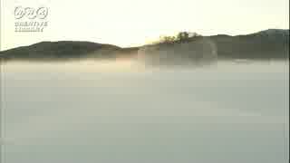 武井雅人　幻想的な冬の映像