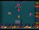 【聖剣伝説２】聖剣と鷹達その９【実況】