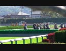 【現地撮影】秋の福島競馬11月3日と4日