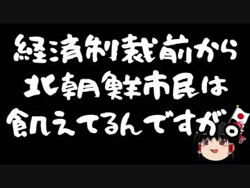 【ゆ保】国連から来た方「経済制裁で北朝鮮の一般市民が飢えている！」