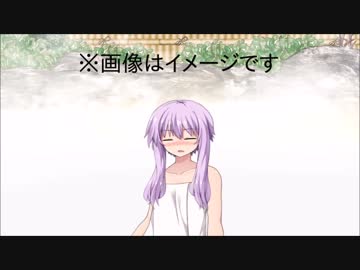 「結月ゆかりの双子の弟」結月純の受難