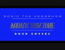 Sonic The Hedgehog > Aquatic Ruin Zone (Guitar/Rock cover)