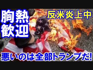 【韓国で盛大な反米炎上デモ】 こっち来んなの大合唱！