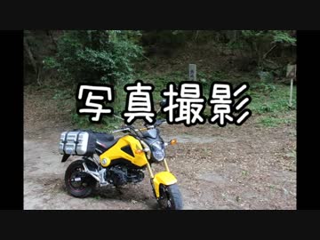 ぼくは林道でお弁当を食べたい