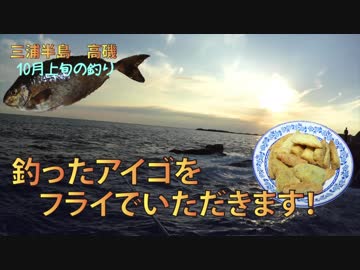 釣ったアイゴをフライでいただきます！