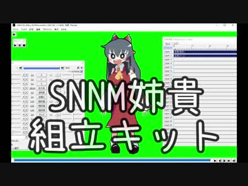 SNNM姉貴組立キット