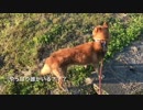 後ろに誰かいる気がする