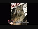 ゆっくりガンオンー名前はまだ無い！（ハンブラビ編2）