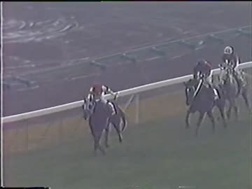 1998(平成10年) ステイヤーズステークス　インターフラッグ