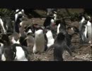 クリエイター新田佳也子の特集