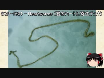 ゆっくりと一緒にSCPを紹介したい！その31【SCP】