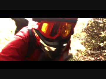 【納車】また、バイクを買った。【素手の人】