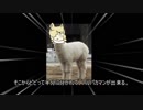 朗読：パカ枕