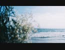【ニコカラ】かすみ草の花束を(+5)【On Vocal】（ボカロ版）