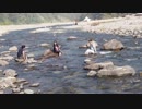 River Rafting In Rishikesh Packages