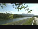 こういう毎日がいい　レイカ２３歳OLの好きな動画