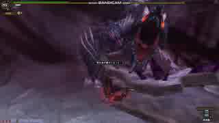 【MHF-Z】ドゥレムディラ一区　復帰してからの一戦目
