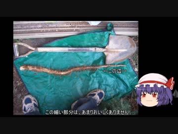 ゆっくり農民69ヤマイモを育ててみませんか？#3