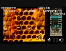 かべのなかにさる