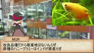 アクアカス☆☆