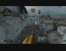 【COD：WW2】PPPPSH-41担いでTDM