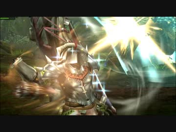 【MHXXNS】2種類のスタイルで攻める重射弓ペア動画。