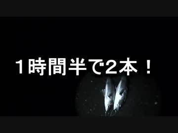 もっち釣動組合♪♯５ 【夜釣りでシーバス】
