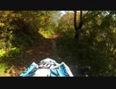 crf250rally 紅葉