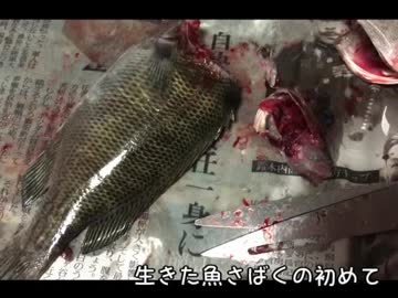 【閲覧注意】釣った魚を生きたまま持ち帰って塩焼きにしてみた