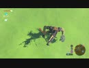 【実況】ゼルダの伝説 ブレスオブザワイルド #46