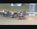 2017年11月10日川崎競馬11R 第32回宮ヶ瀬クリスマス特別 ニシノマリーナ