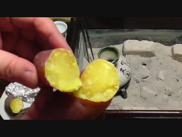 焼き芋で呑む【長火鉢とおっさん47】