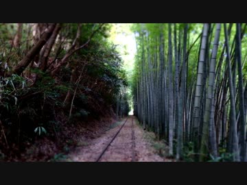 泰久寺駅跡で廃線 竹林をゆく 見所やアクセス 駐車場を解説 Amatavi
