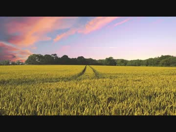 あてもなく旅を続ける神社