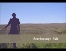 【人力刀剣乱舞】Scarborough Fair【へし切長谷部】