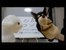 クツオイルと三浦サイラスが声優とかアニメについて語るラジオ 　第13回