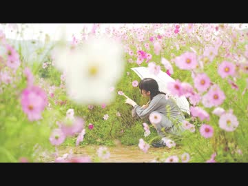 さようなら、花泥棒さん　踊ってみた ／まゆしぃ