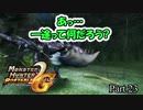 【MHP2G 片手剣縛り 実況Part23】あれ？不倫はしないんじゃ…