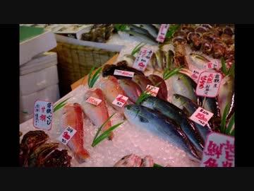 【RVF400】舞鶴ツーリングに行ってきました