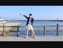 【うさぽめ】バタフライ・グラフィティ【踊ってみた】【誕生日！】
