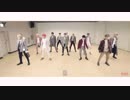 [K-POP] SEVENTEEN - Without You (Dance Practice) (HD)